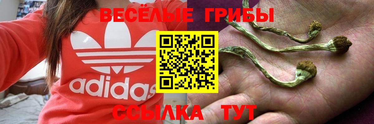 Галлюциногенные грибы мухоморы Фрязино