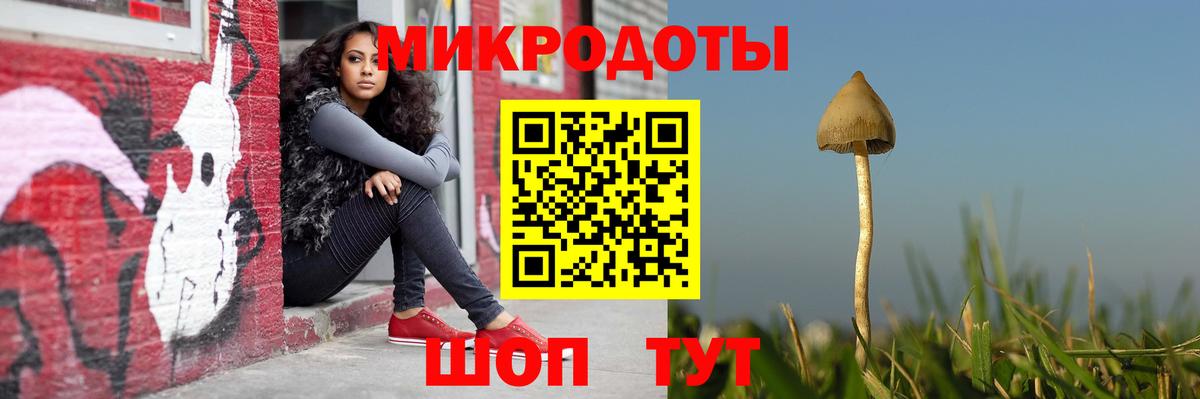 Фрязино  Псилоцибиновые грибы мицелий  Вход с VPN  Галлюциногенные грибы мухоморы 